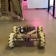 Image for article titled This Startup Wants Vertical Farmers to Hire a Robot Gardener